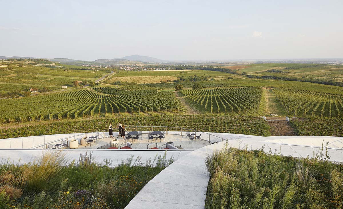 Two circular hovering volumes form a winery perched atop the Padi Hill in Hungary 