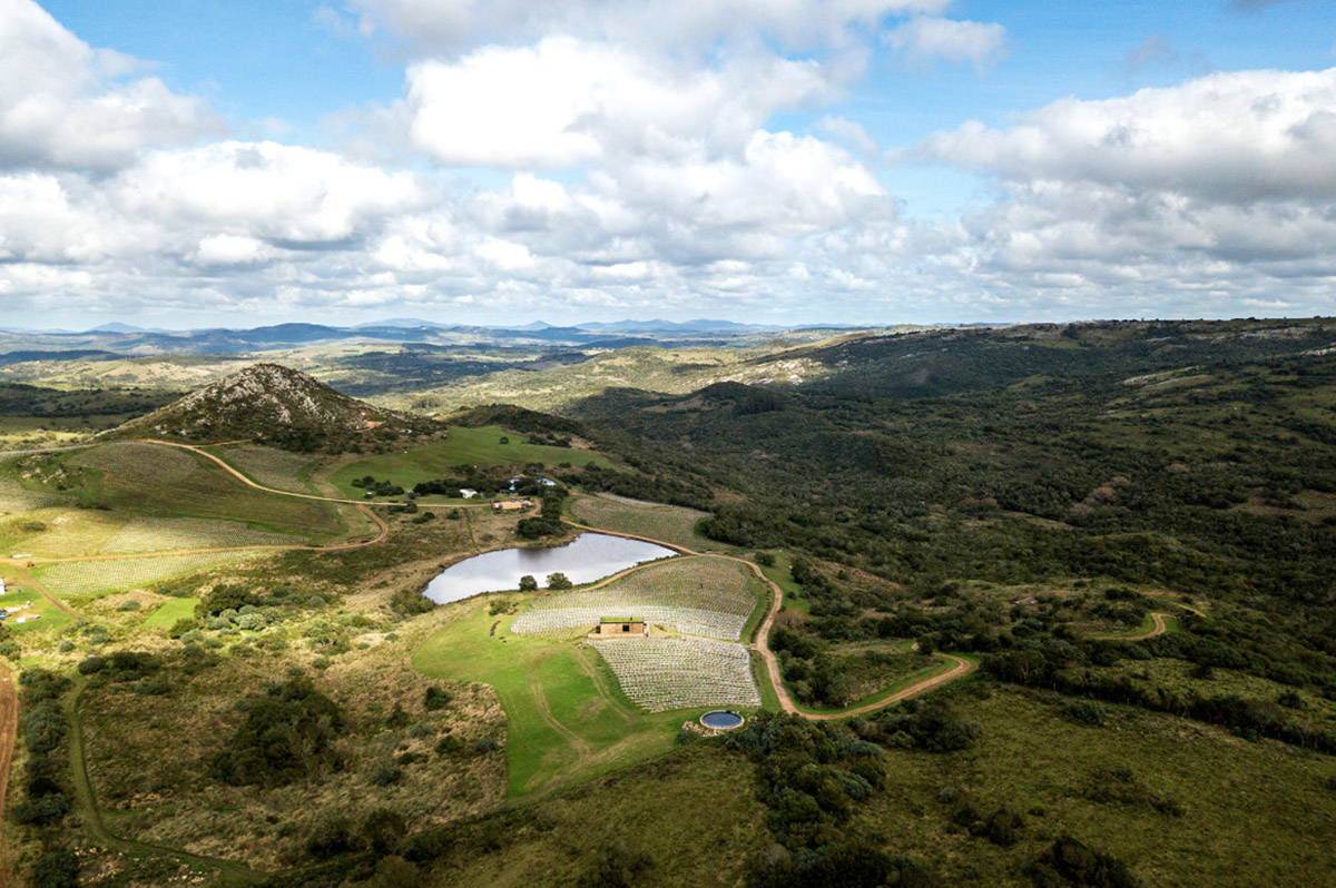 MAPA Architects Completes Landscape Hotel In Uruguay's Wild Nature