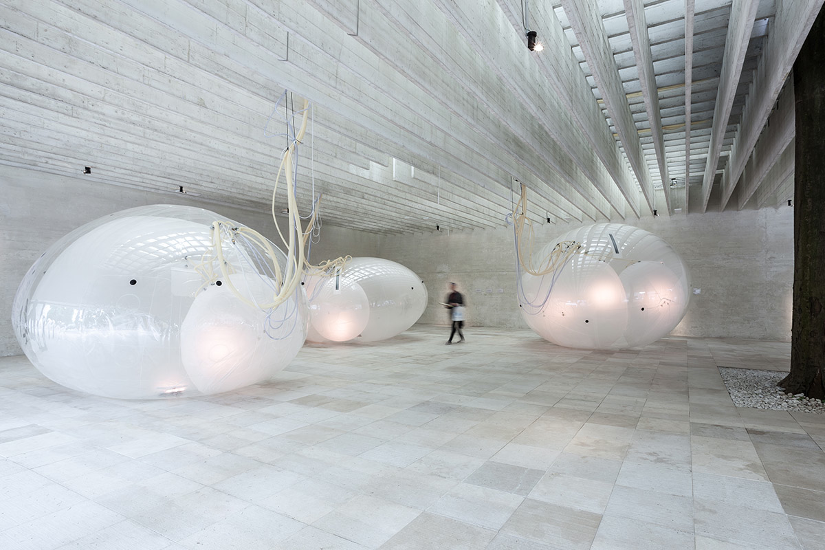 Nordic Pavilion Showcases Symbiotic Relationship With Another Generosity At Venice Biennale