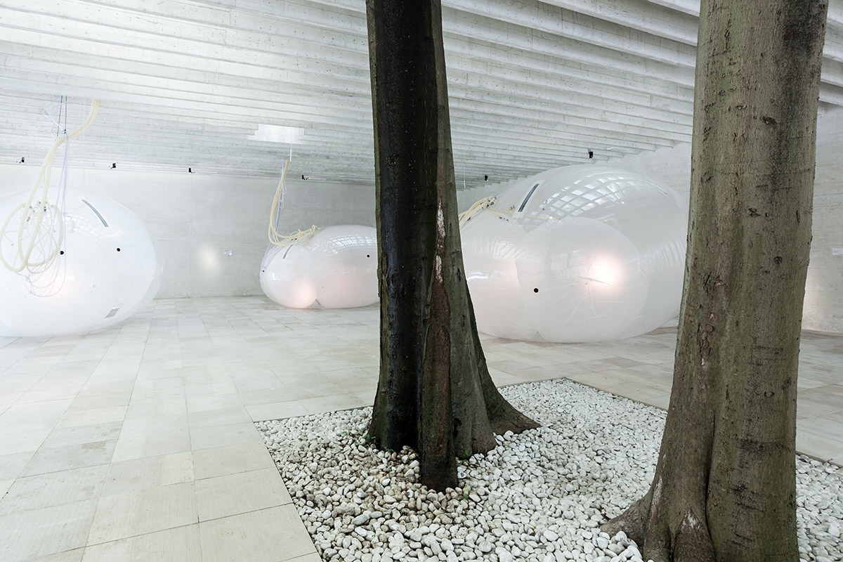 Nordic Pavilion Showcases Symbiotic Relationship With Another Generosity At Venice Biennale