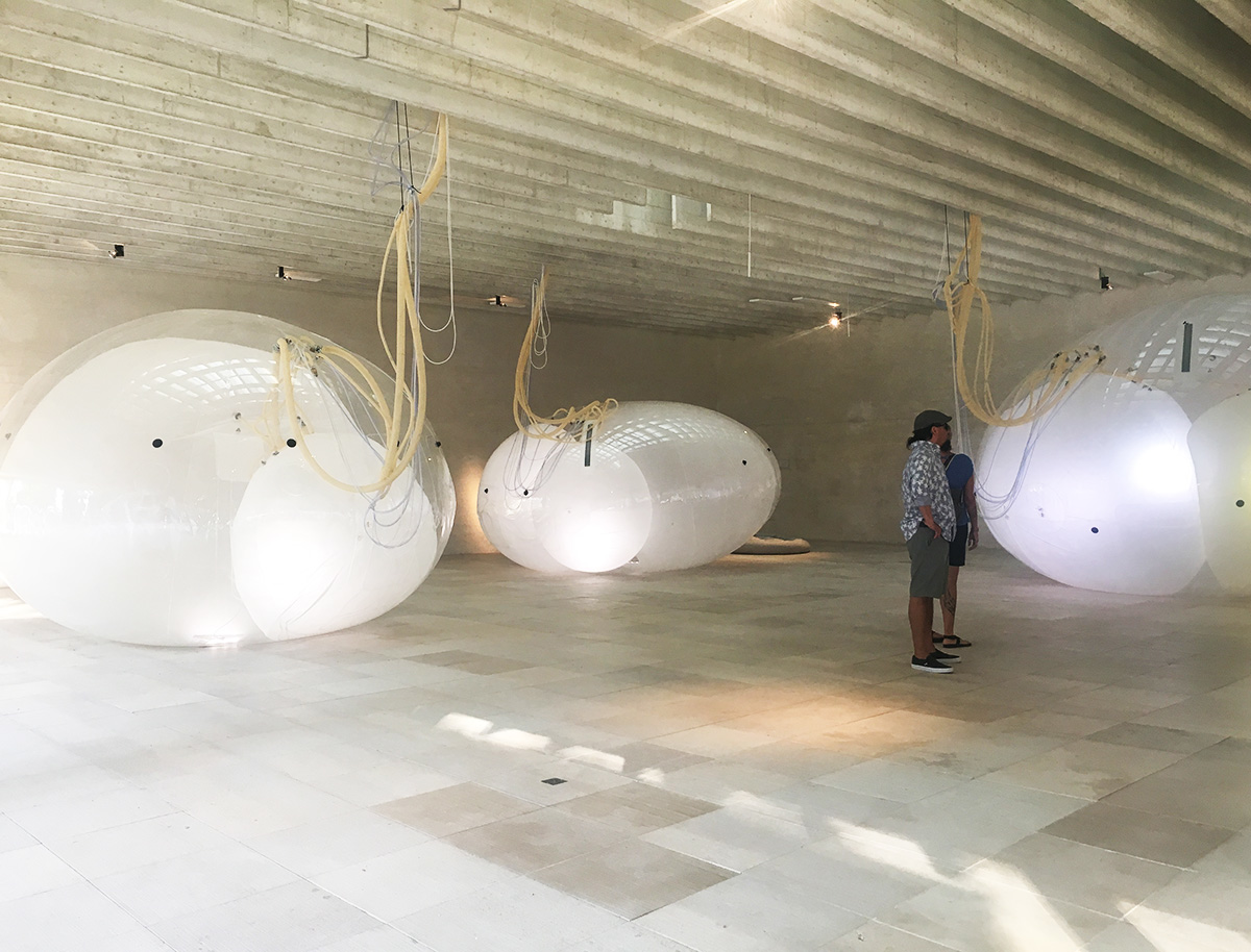 Nordic Pavilion Showcases Symbiotic Relationship With Another Generosity At Venice Biennale
