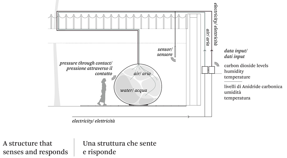 Nordic Pavilion Showcases Symbiotic Relationship With Another Generosity At Venice Biennale