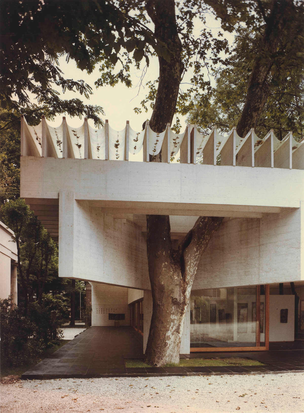 Nordic Pavilion Showcases Symbiotic Relationship With Another Generosity At Venice Biennale