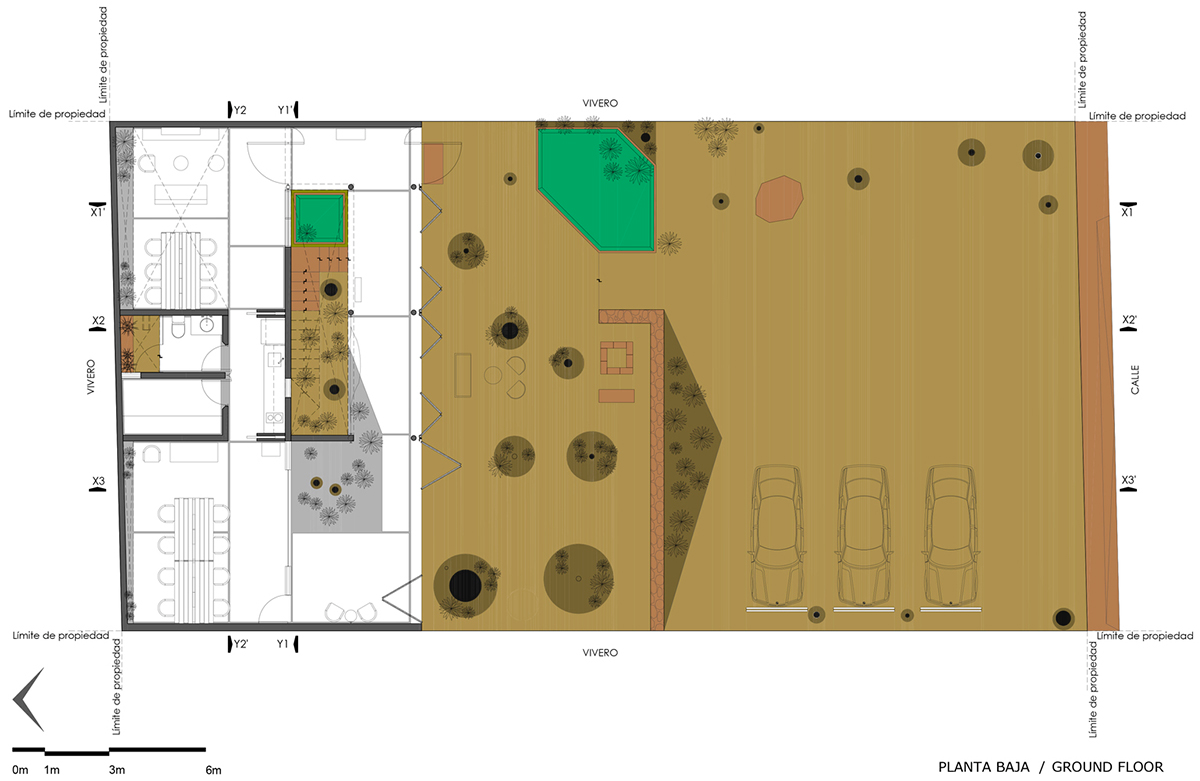 TACO Completes This Homelike And Pinkish Workshop Studio In A Lush Green Of Yucatan Peninsula