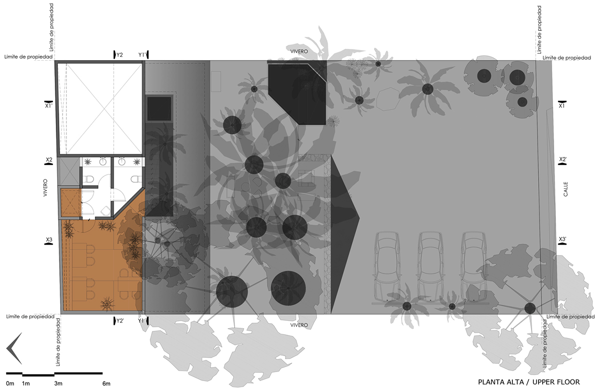 TACO Completes This Homelike And Pinkish Workshop Studio In A Lush Green Of Yucatan Peninsula