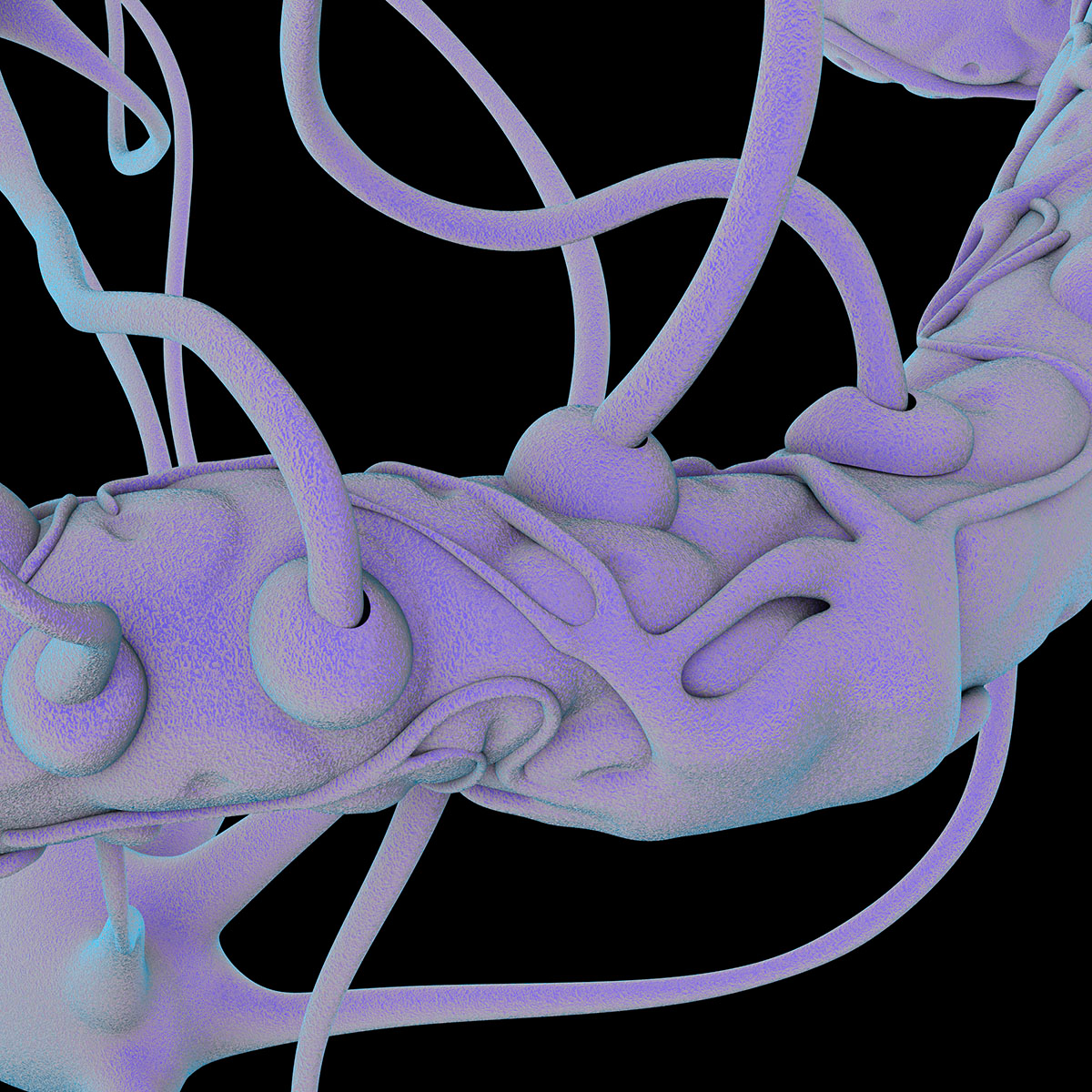 Take an extensive look at the first images of the 4th Istanbul Design Biennial