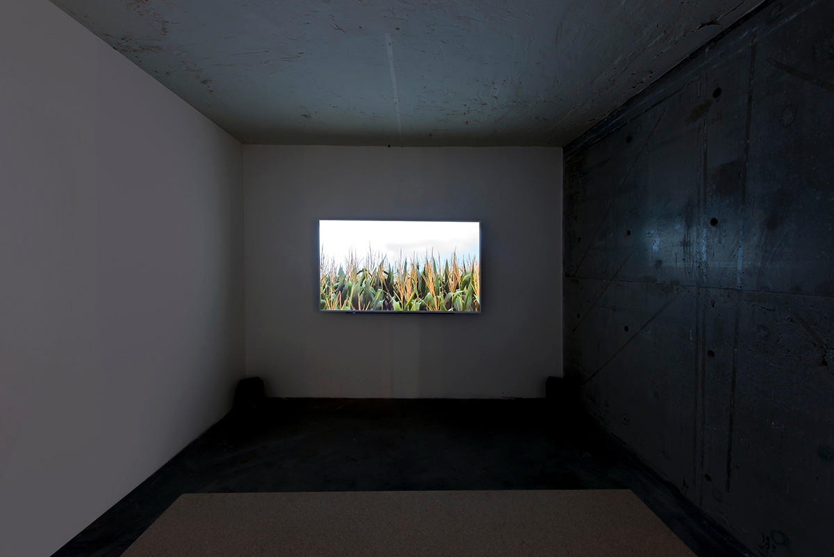 Take an extensive look at the first images of the 4th Istanbul Design Biennial