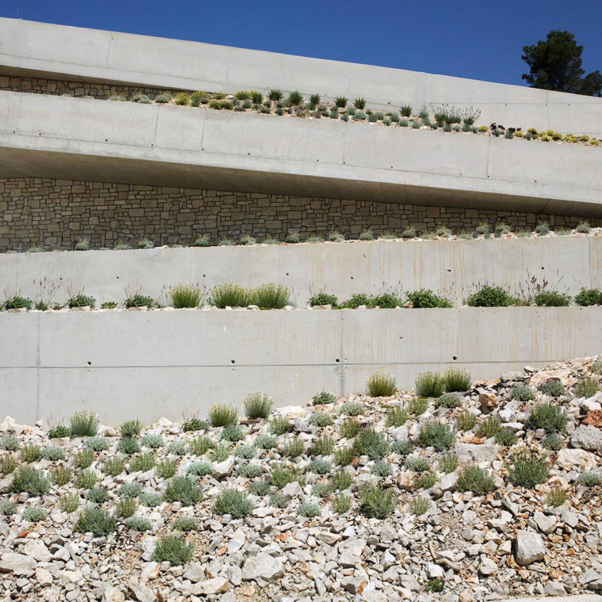 Proarh Seamlessly Blended This Family House In The Landscape On The Croatian Island