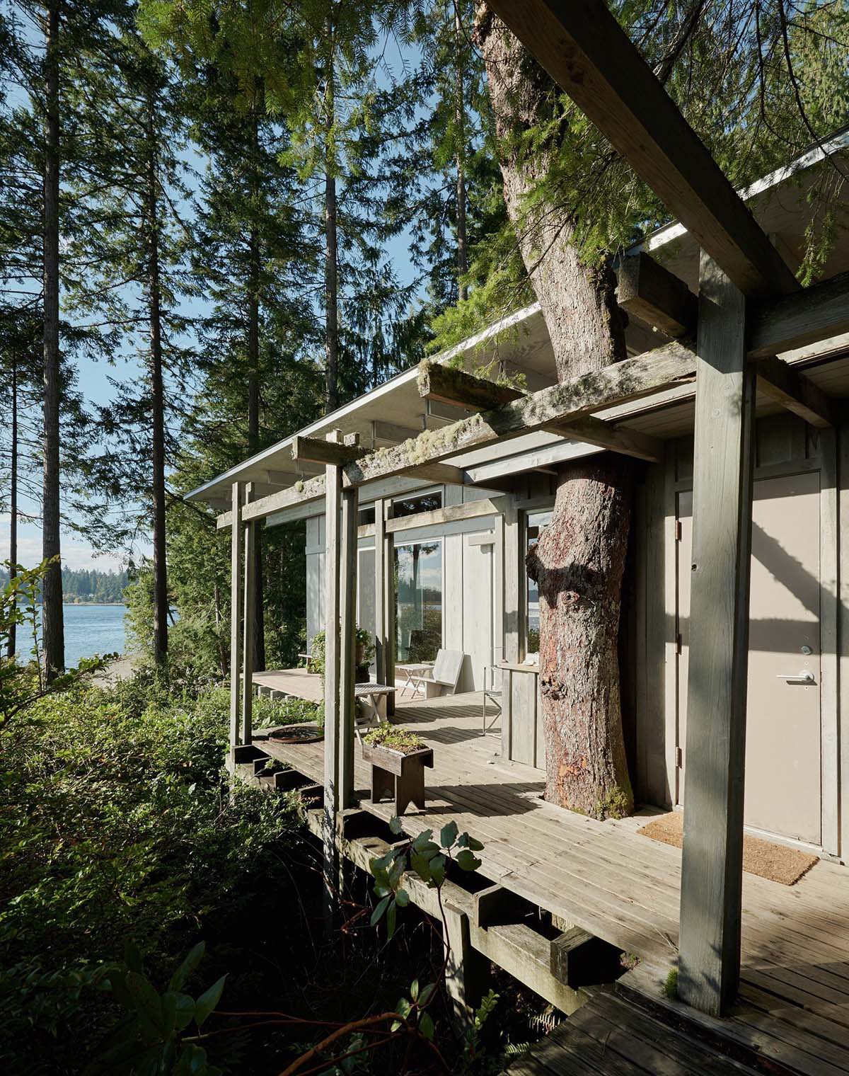 Olson Kundig Transforms 1950s Bunkhouse Into A Weekend Retreat At Longbranch