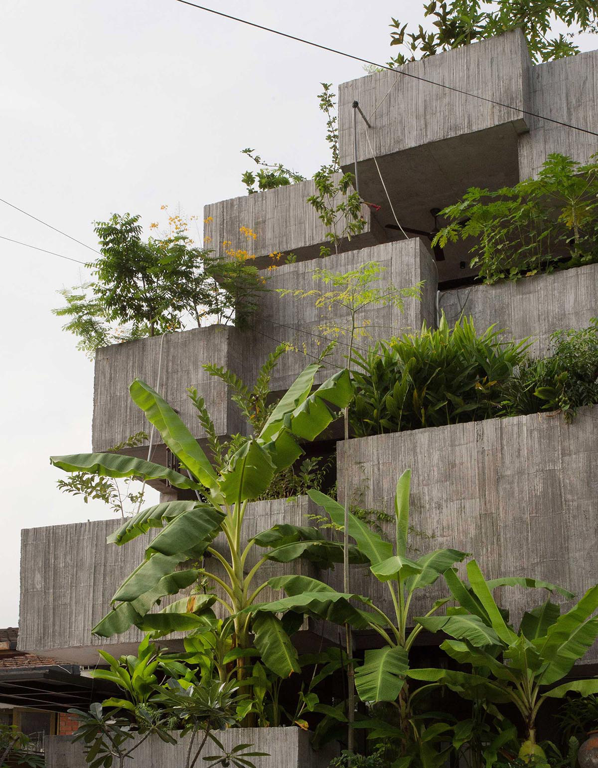 These Concrete Planter Boxes Filled With Edible Plants To Apply Passive Design Strategies By Formzero