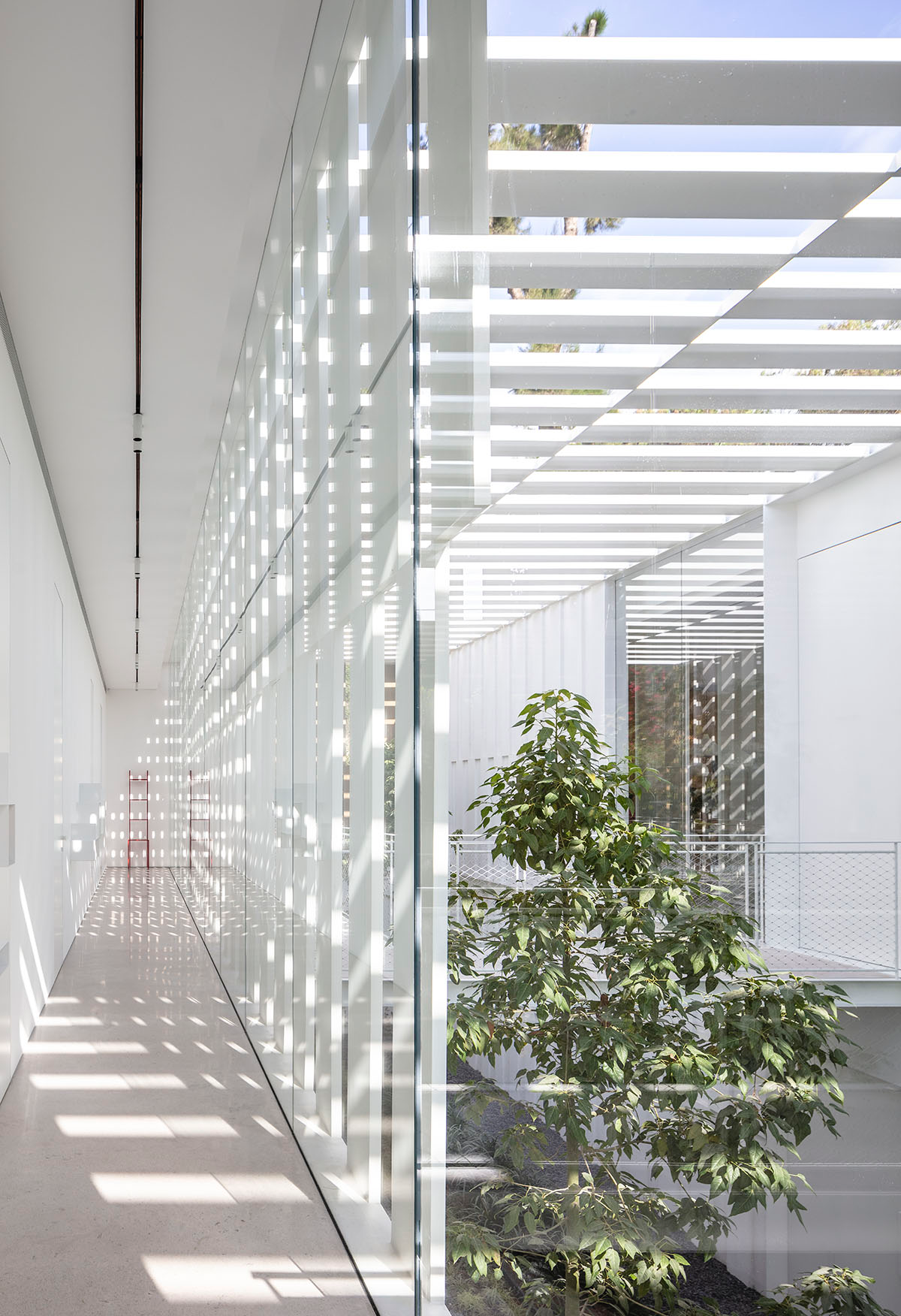 Large sunken yard defines the program of Split House designed by Pitsou Kedem Architects in Israel