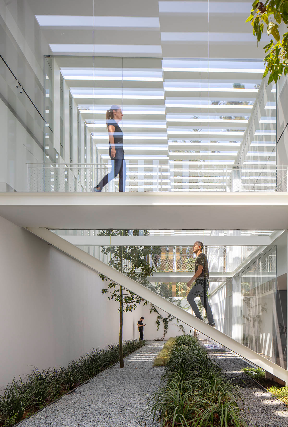 Large sunken yard defines the program of Split House designed by Pitsou Kedem Architects in Israel