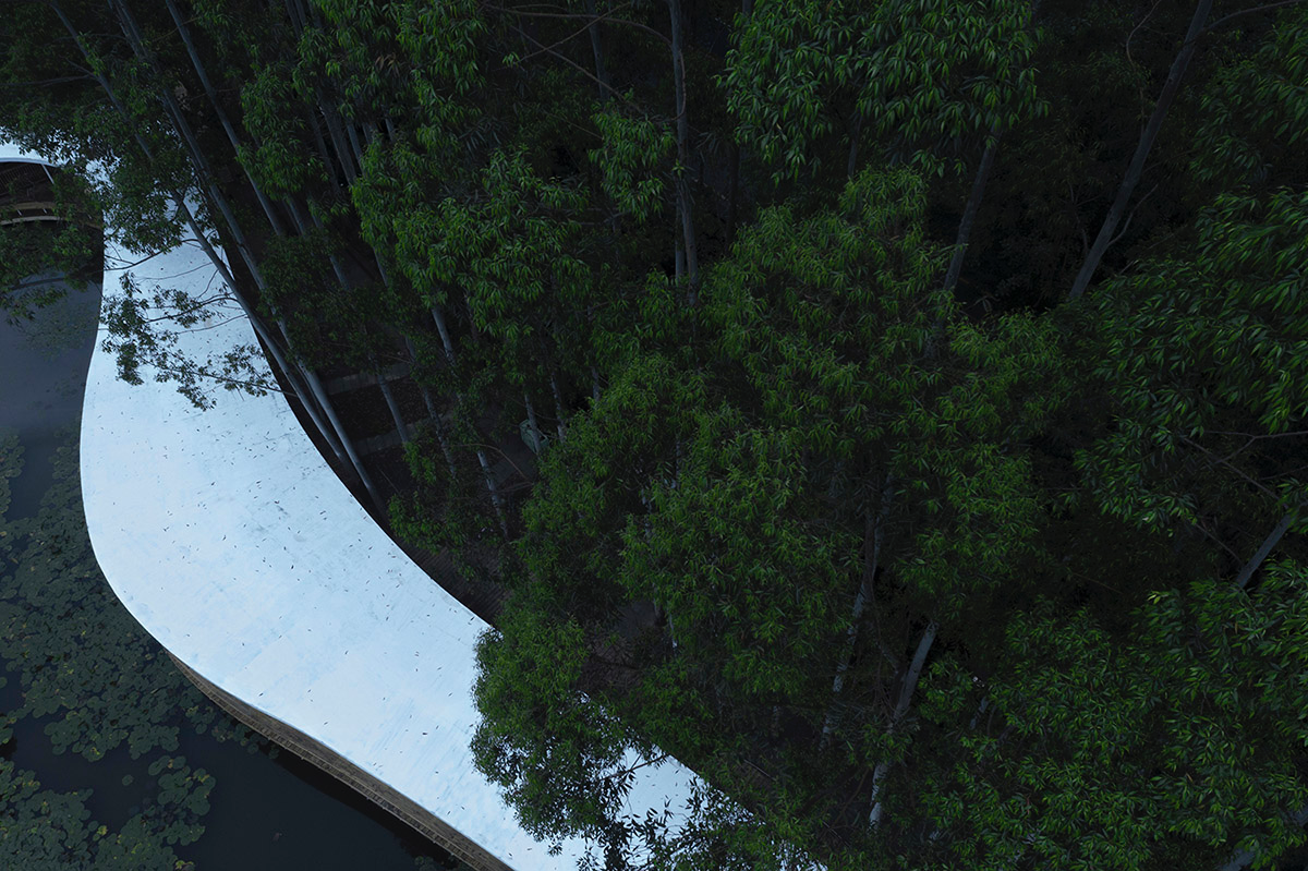 MUDA-Architects' snake-like restaurant blends with slender pillars and trees in a eucalyptus forest