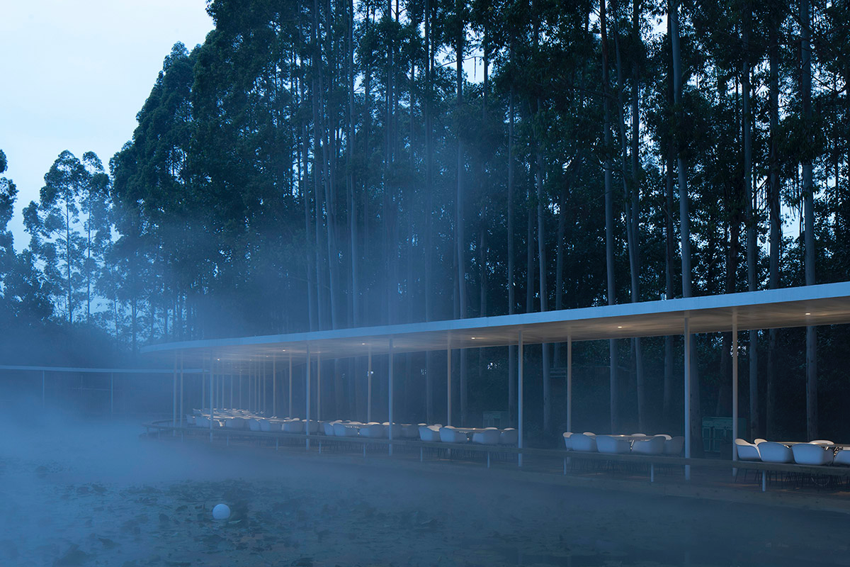 MUDA-Architects' snake-like restaurant blends with slender pillars and trees in a eucalyptus forest