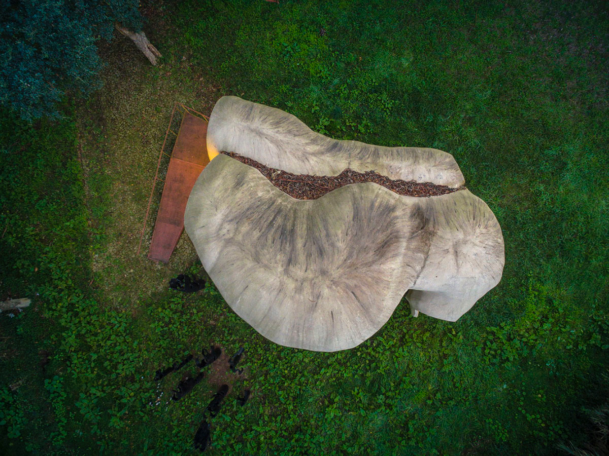 Super small cave-like art gallery by FCC Arquitectura built on lush green in Portugal