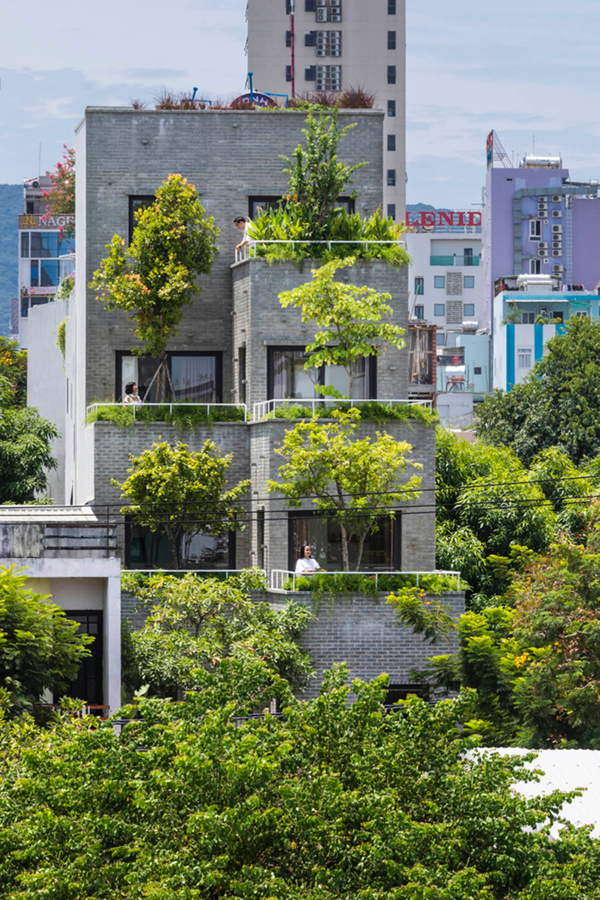 Ho Khue Architects brings jungle life into a terraced apartment building in the Da Nang City, Vietnam