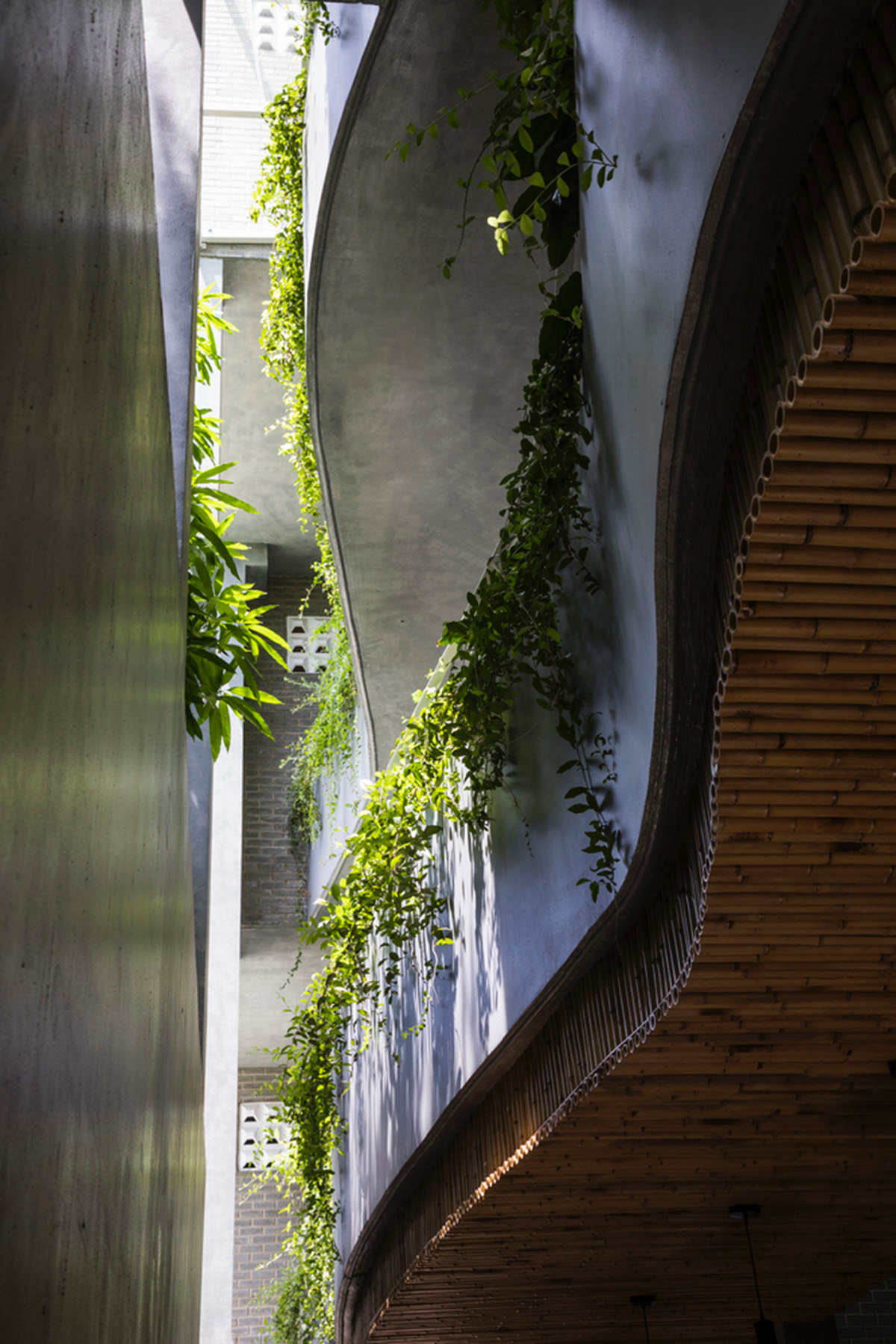 Ho Khue Architects brings jungle life into a terraced apartment building in the Da Nang City, Vietnam