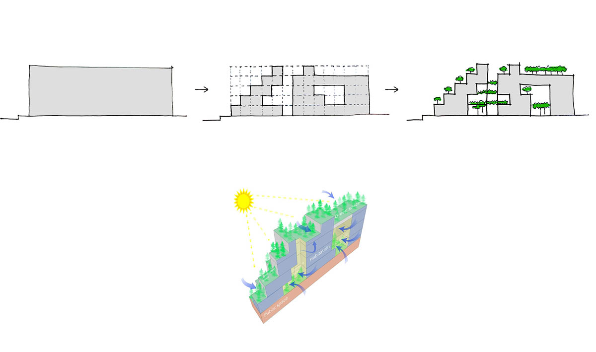 Ho Khue Architects brings jungle life into a terraced apartment building in the Da Nang City, Vietnam