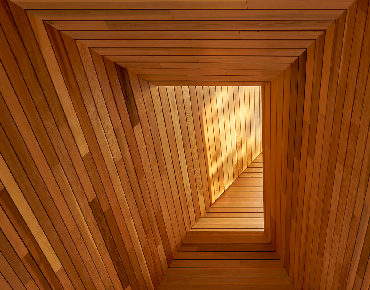 Mackay-Lyons Sweetapple Architects completes island cabins with extruded roofs among pine trees