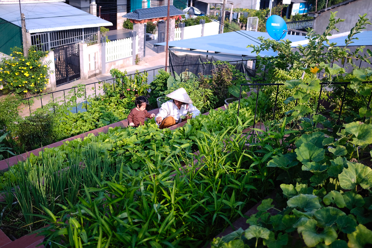 This reddish house features rooftop garden to make owners grow their own food in Vietnam