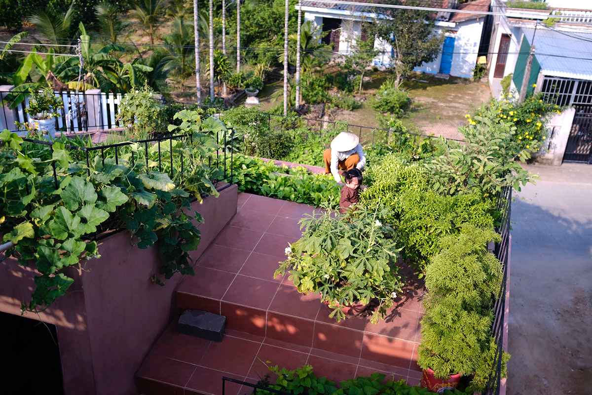 This reddish house features rooftop garden to make owners grow their own food in Vietnam