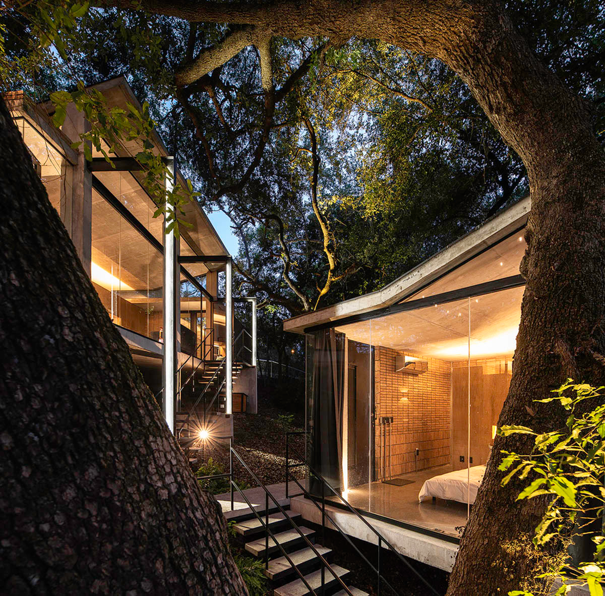 WEYES Estudio built single family house divided into four pavilions blended with the forest in Mexico