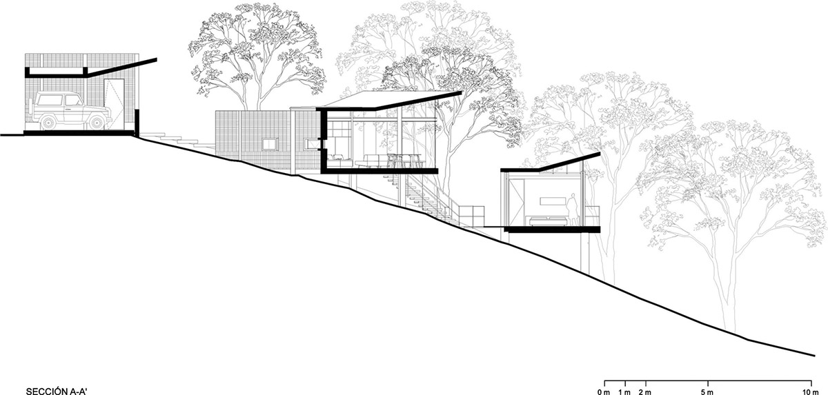 WEYES Estudio built single family house divided into four pavilions blended with the forest in Mexico