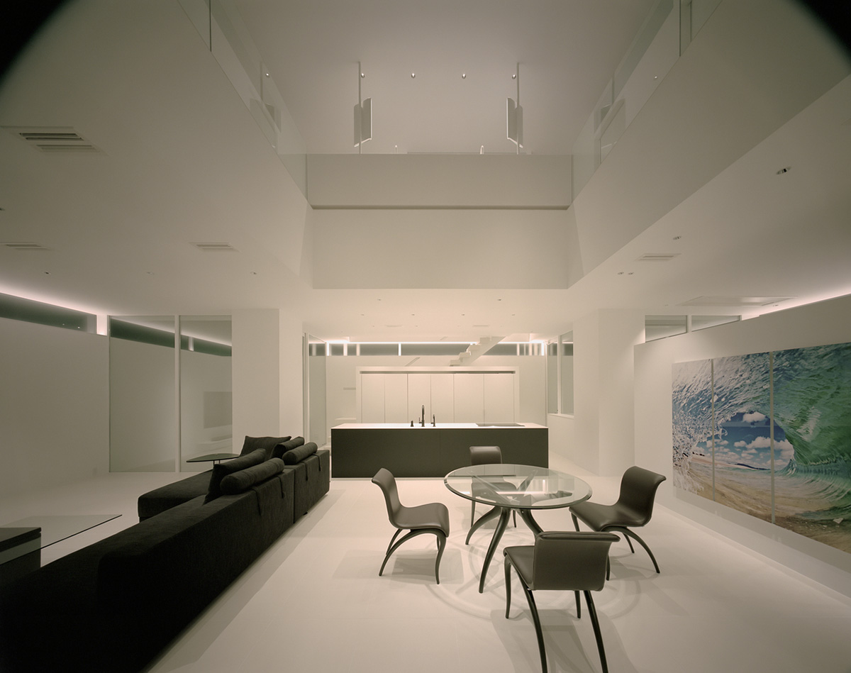 Fujiwaramuro Architects designs family house with thin skylights and transparent built-in garage