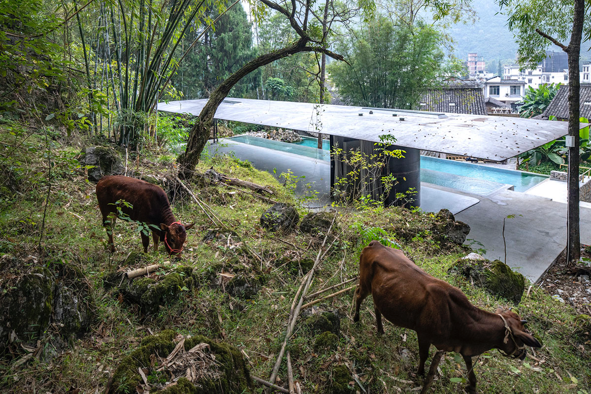 Atelier Liu Yuyang Architects built glassless yoga pavilion featuring silver roof set on a hill