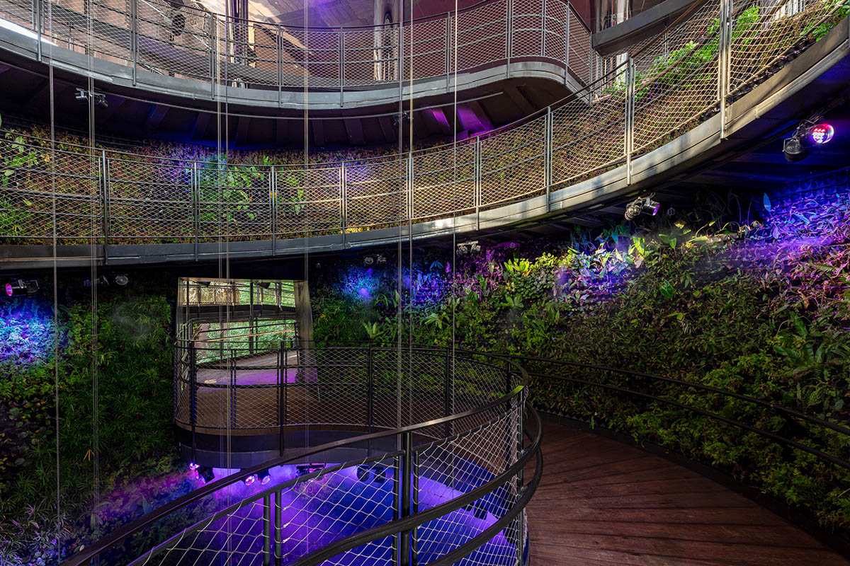 A city in nature: Singapore Pavilion presents Nature. Nurture. Future at Expo 2020 Dubai