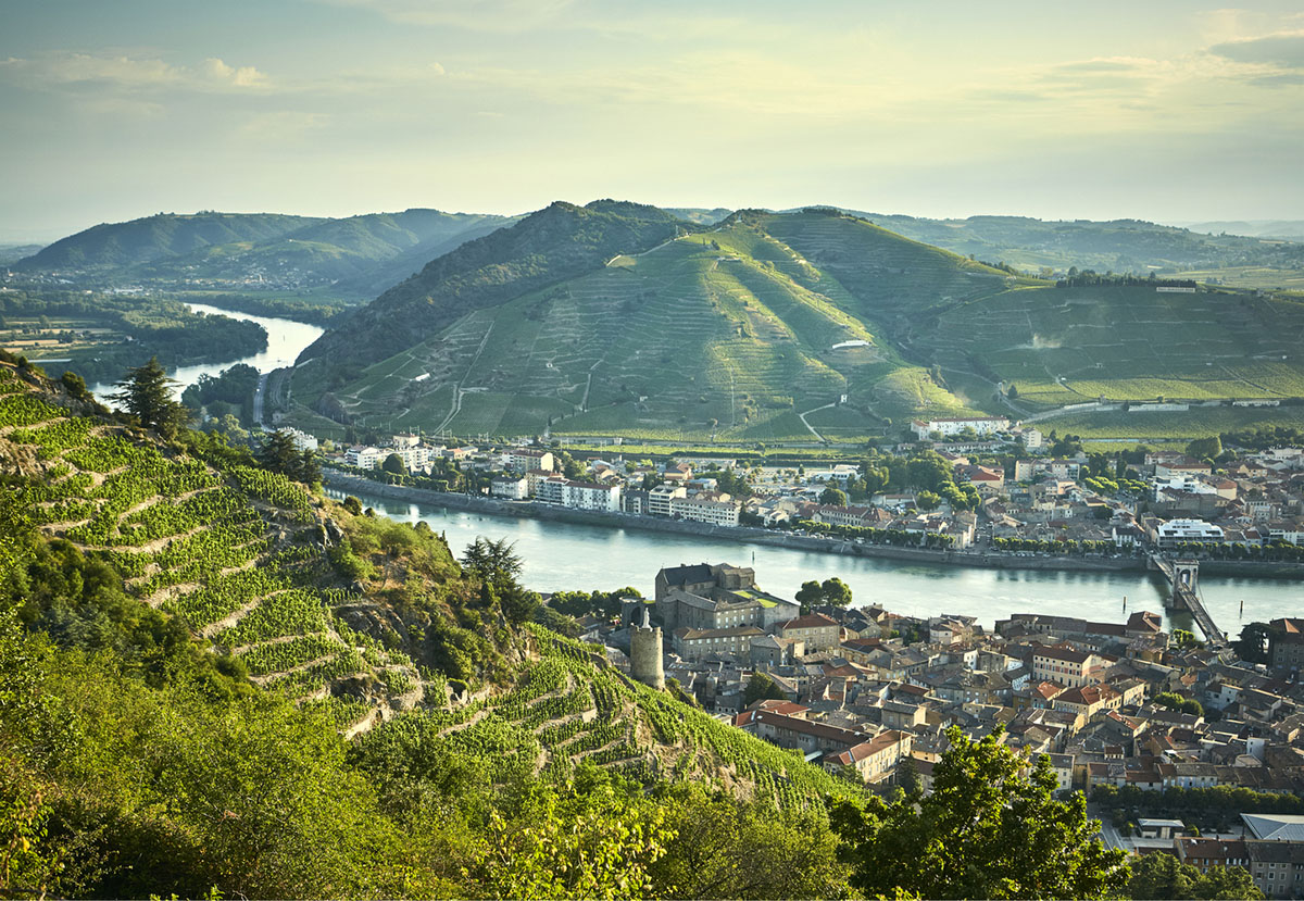 Curving stone solid walls form this winery and guide visitors for winemaking process in France