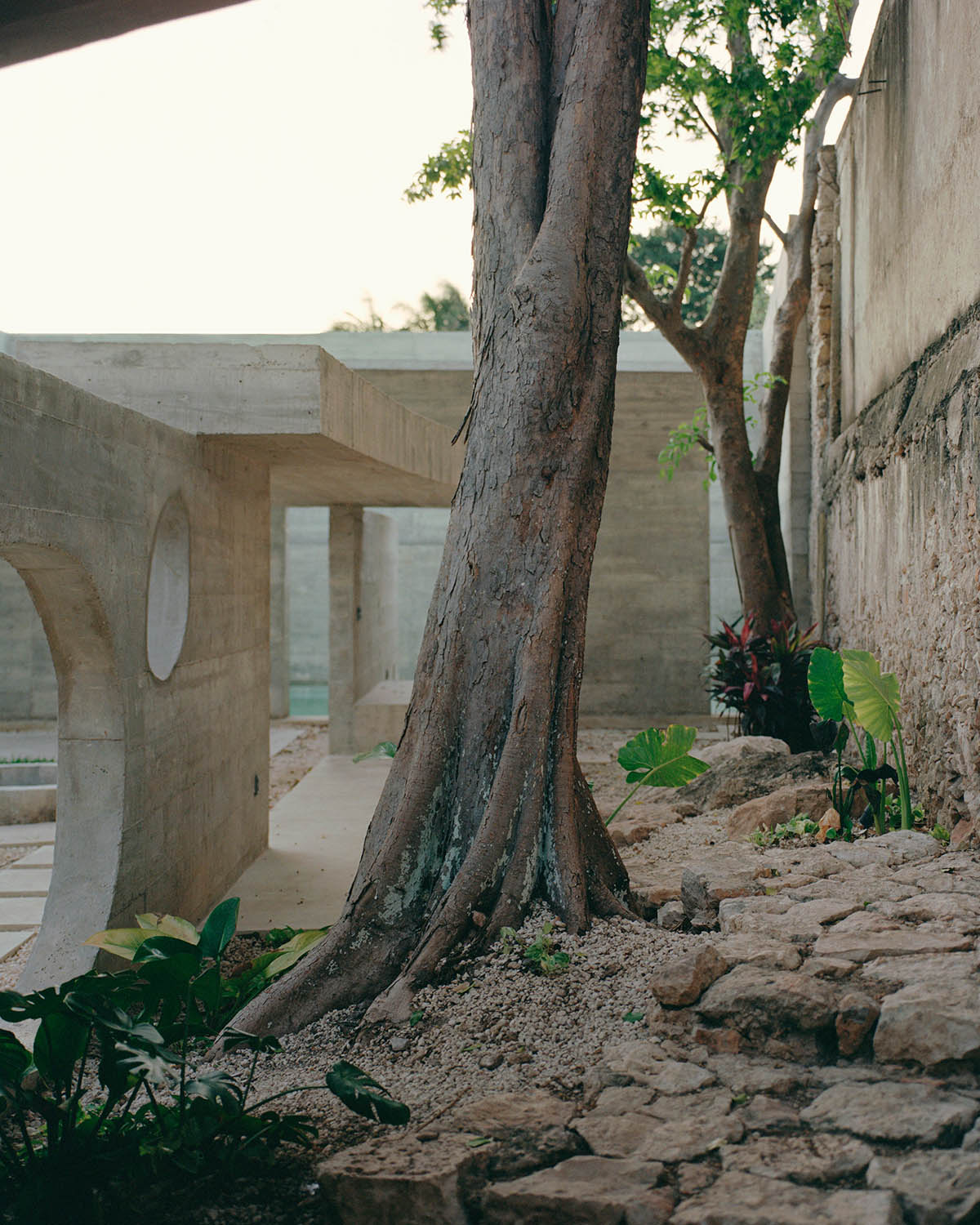 Ludwig Godefroy Architecture designs tropicalized Casa Mérida that references to Mayan antic culture