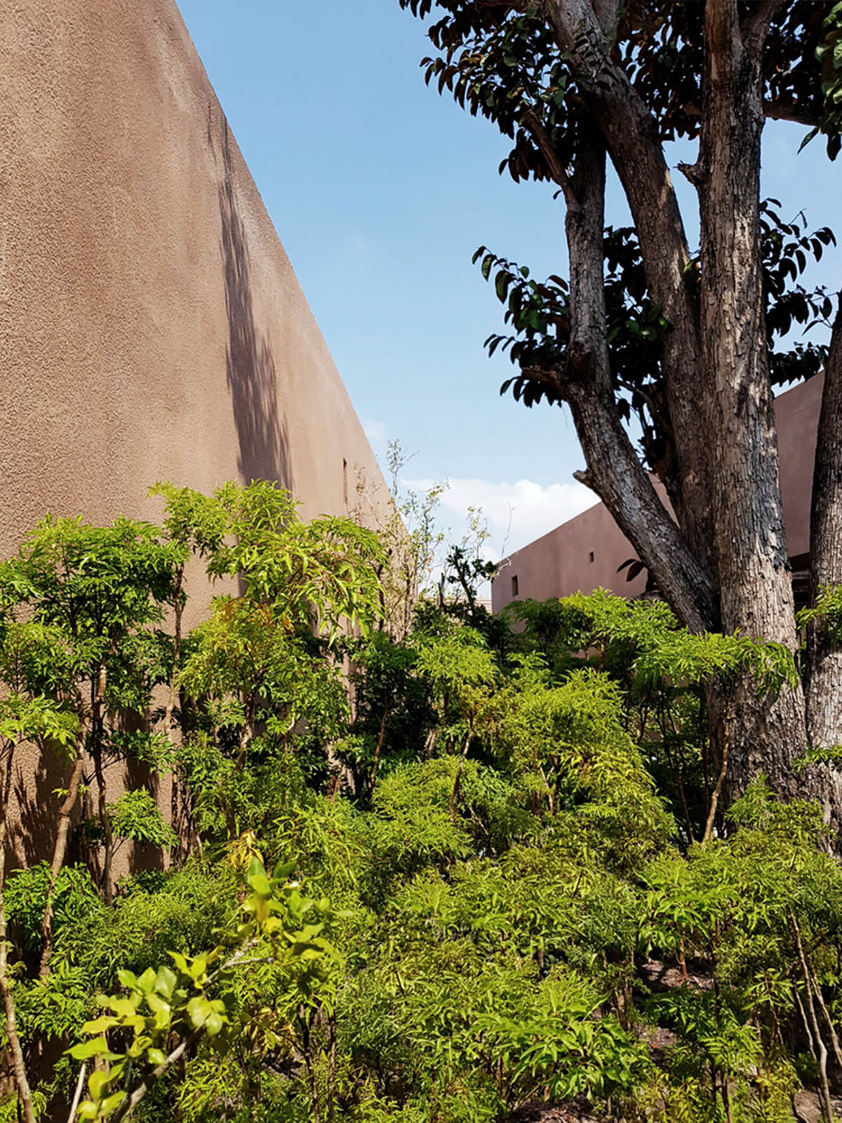 TAA DESIGN built public space with pitched roofs and rough concrete walls painted with pink tones