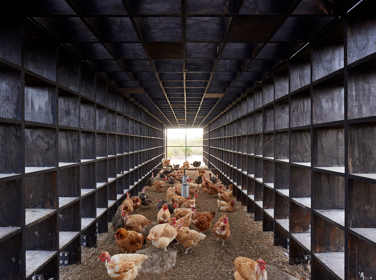 Kengo Kuma and Associates built chicken coop made of burnt wooden boards in Mexico