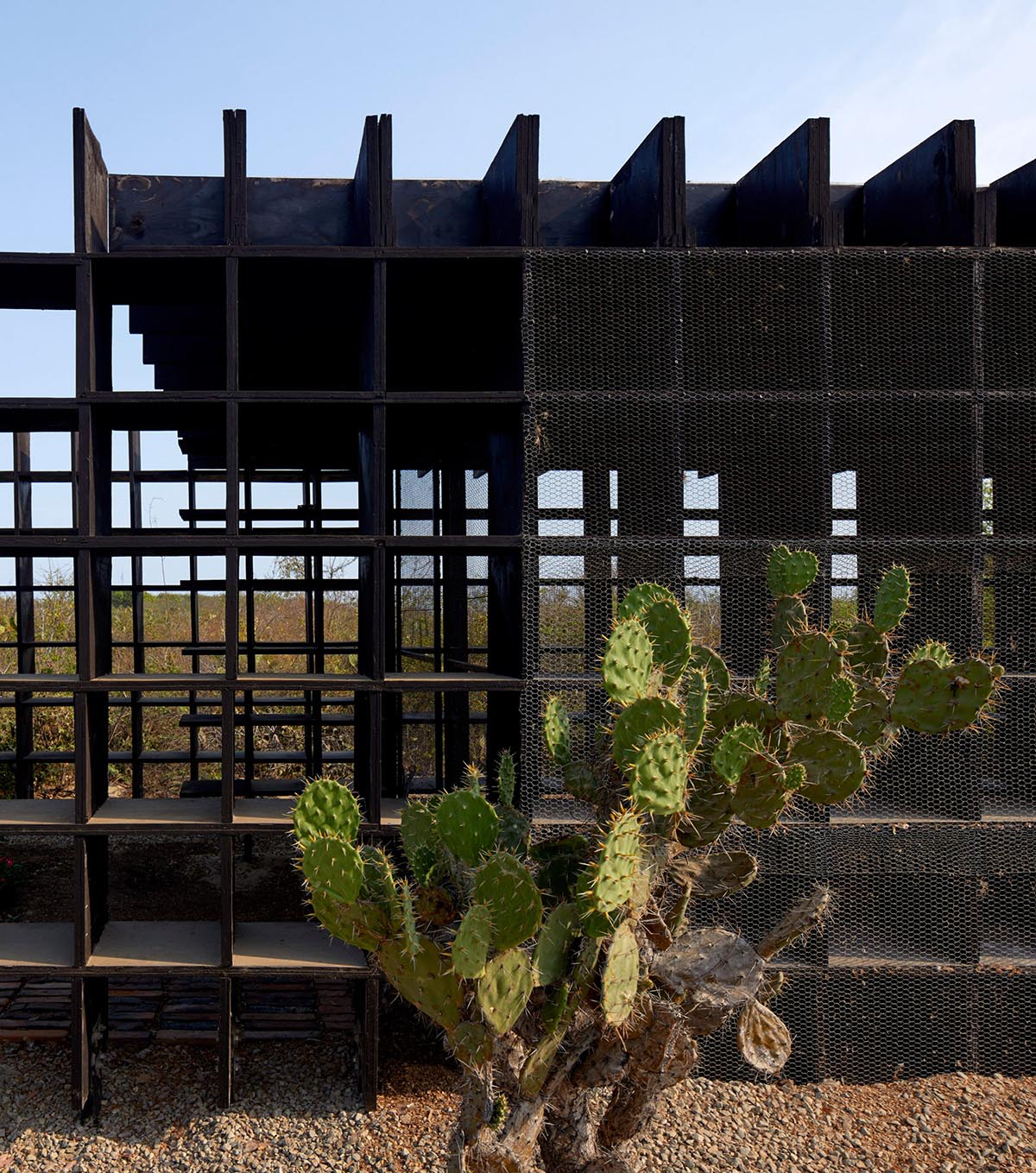 Kengo Kuma and Associates built chicken coop made of burnt wooden boards in Mexico