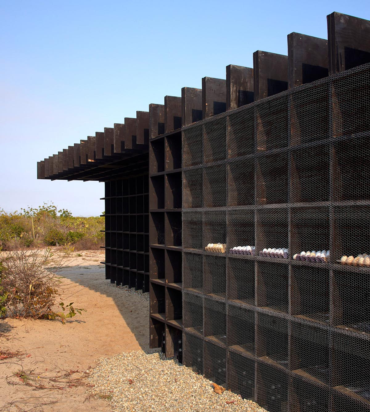 Kengo Kuma and Associates built chicken coop made of burnt wooden boards in Mexico