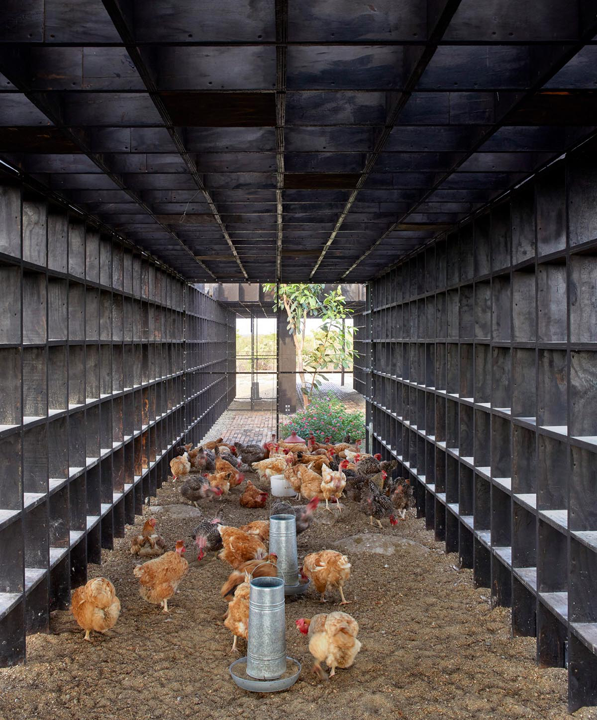 Kengo Kuma and Associates built chicken coop made of burnt wooden boards in Mexico