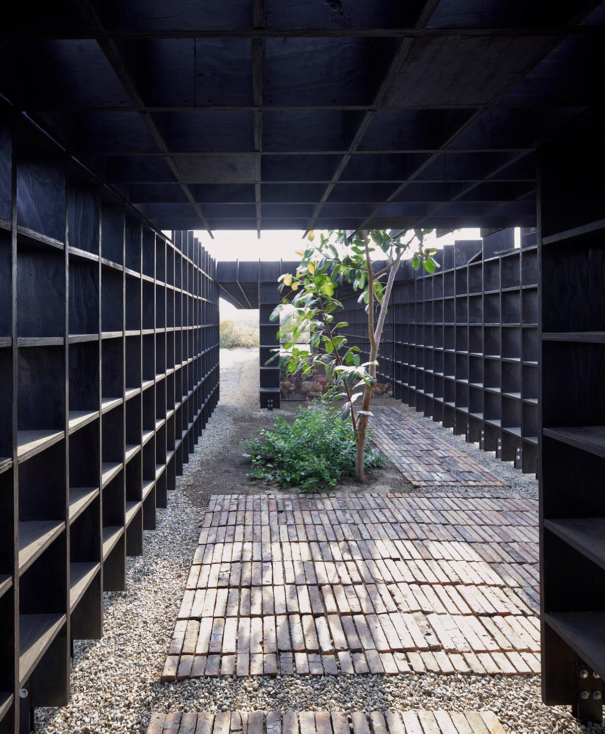 Kengo Kuma and Associates built chicken coop made of burnt wooden boards in Mexico