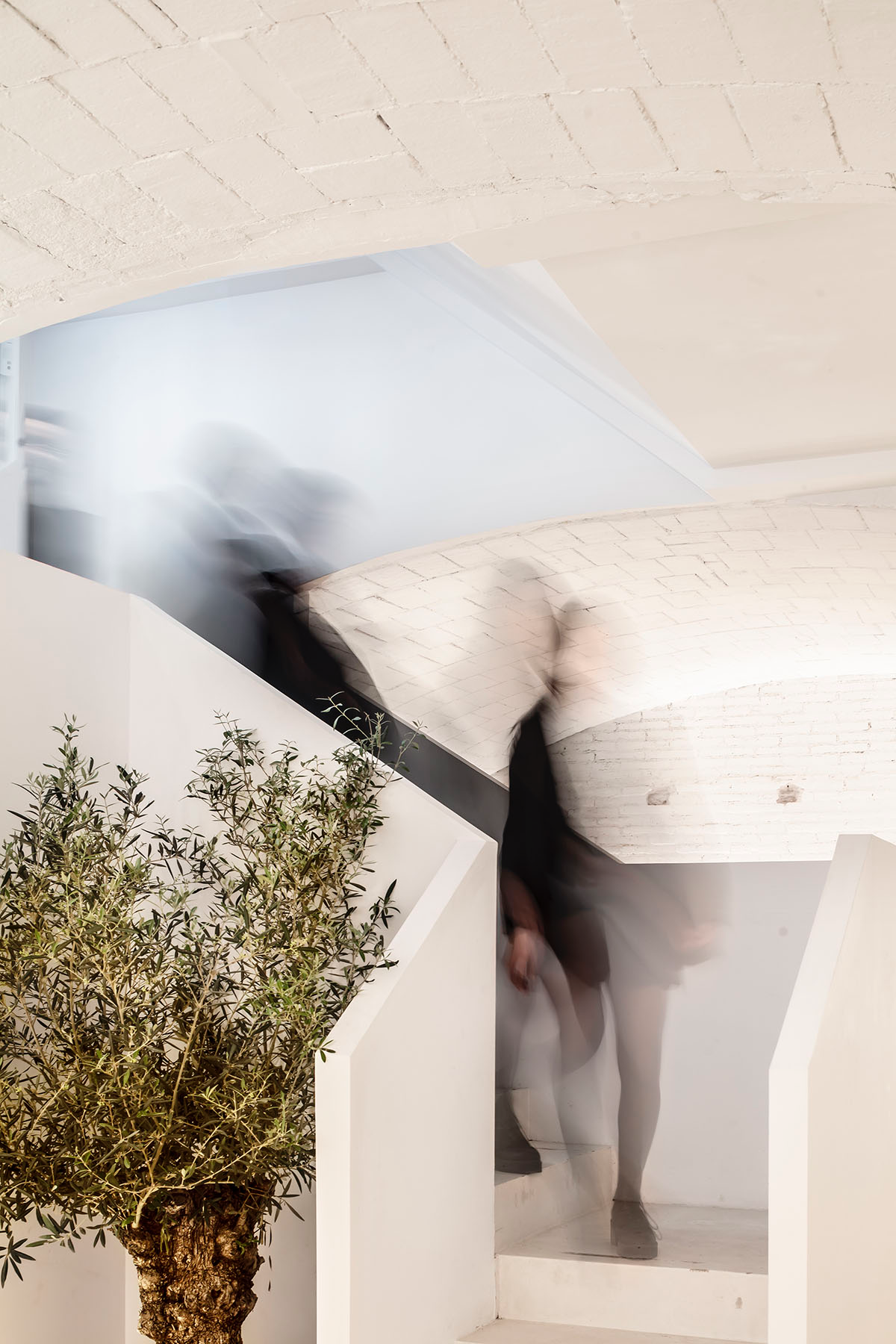 Jofre Roca Arquitectes combines Mediterranean tradition and contemporaneity for a parfum boutique