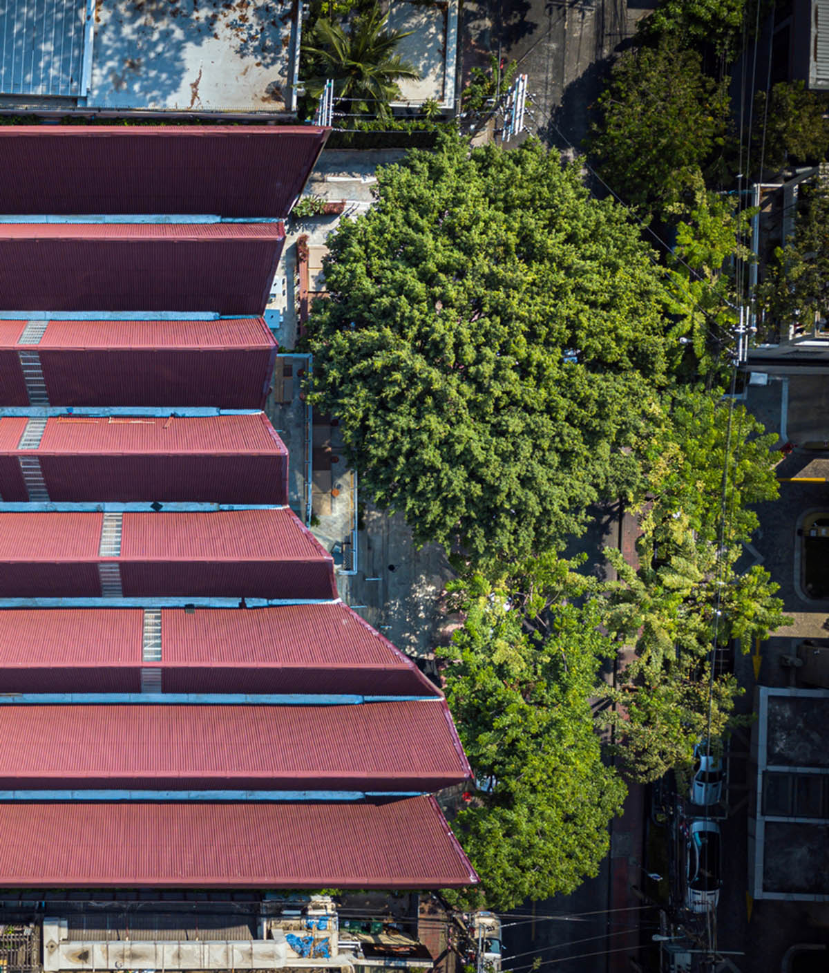 Department of ARCHITECTURE built pavilion with red transparent corrugated sheets for its roof
