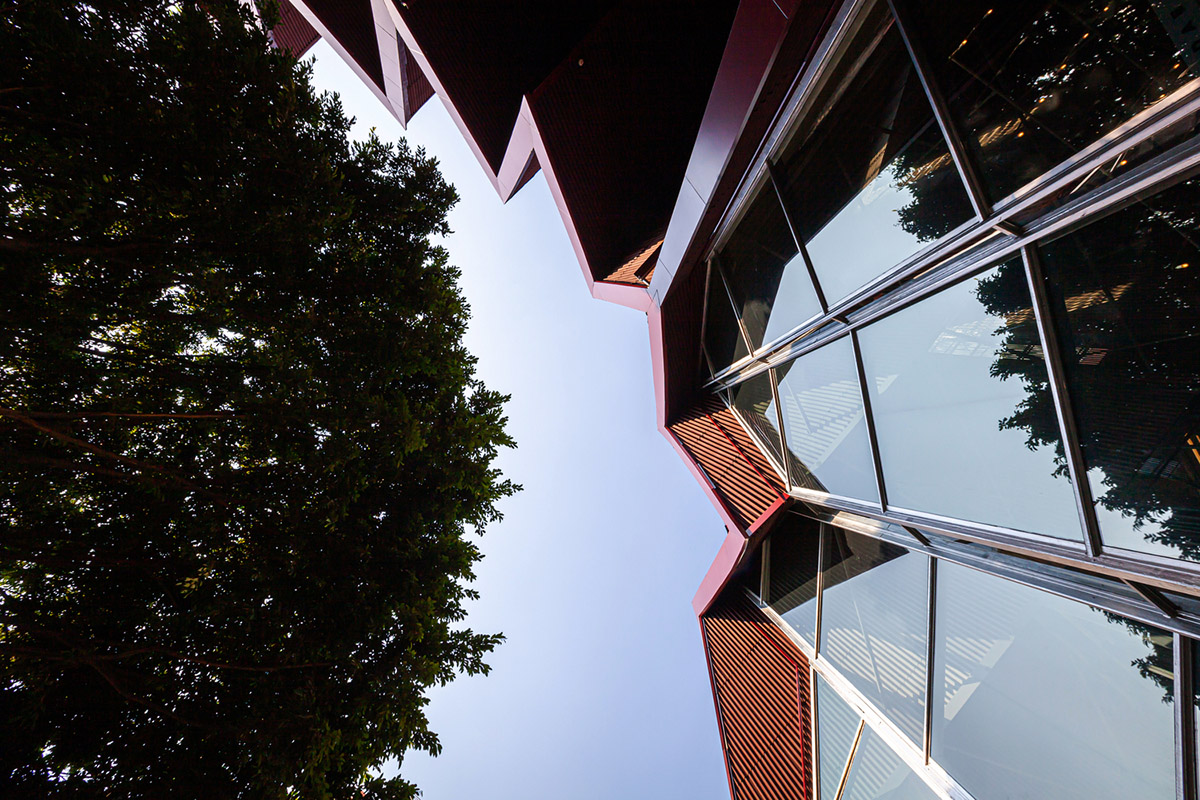 Department of ARCHITECTURE built pavilion with red transparent corrugated sheets for its roof