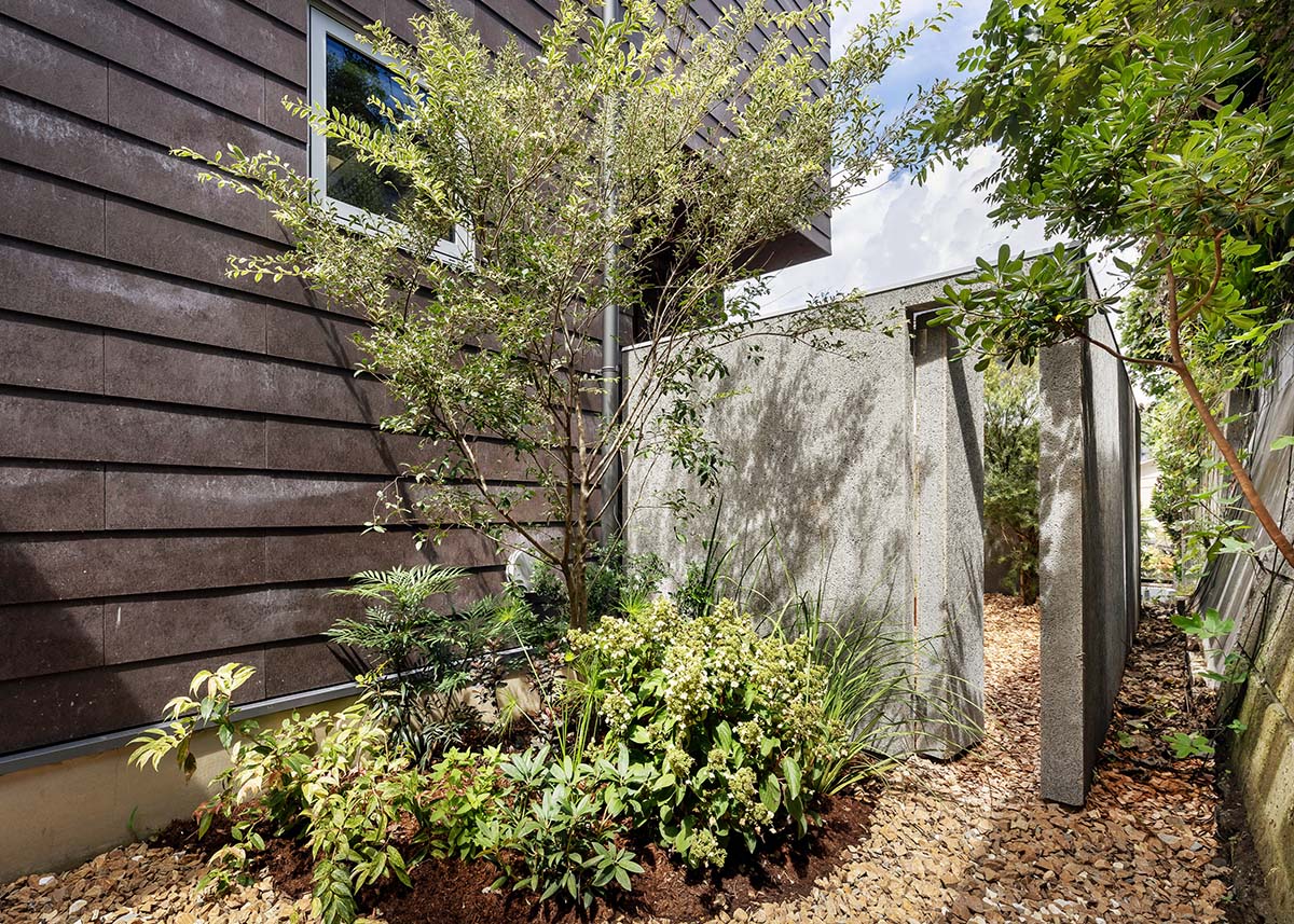 Tan Yamanouchi turns a book vault wall in studio and residence into a cozy space for cats in Japan