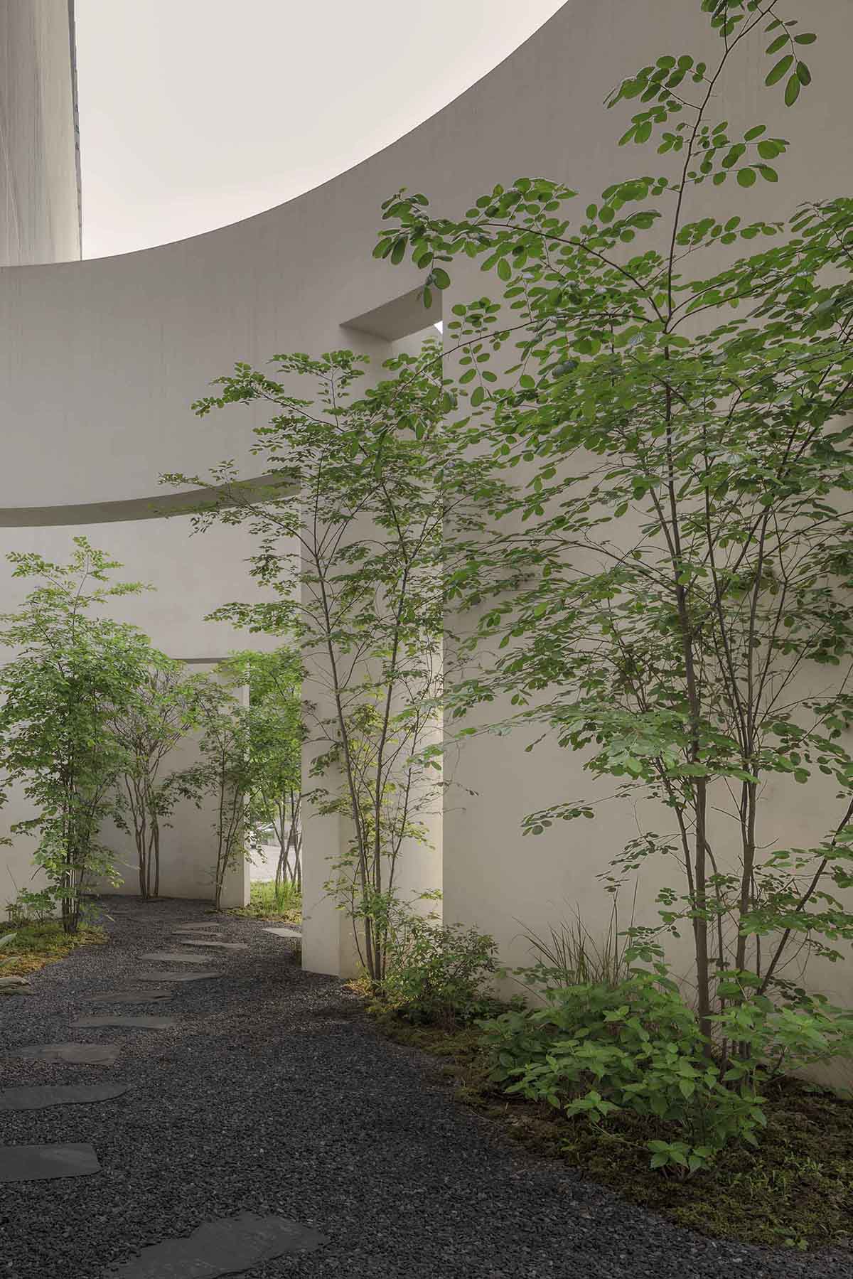 HAS design and research built a museum featuring curved walls resembling landscape caves 