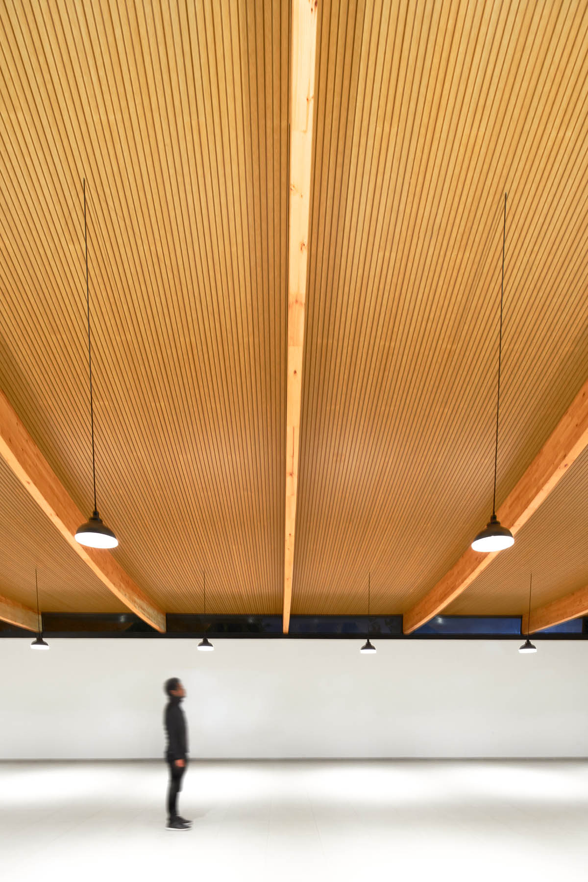 TEC Taller EC creates pavilion with concave wooden roof that becomes a façade in Ecuador
