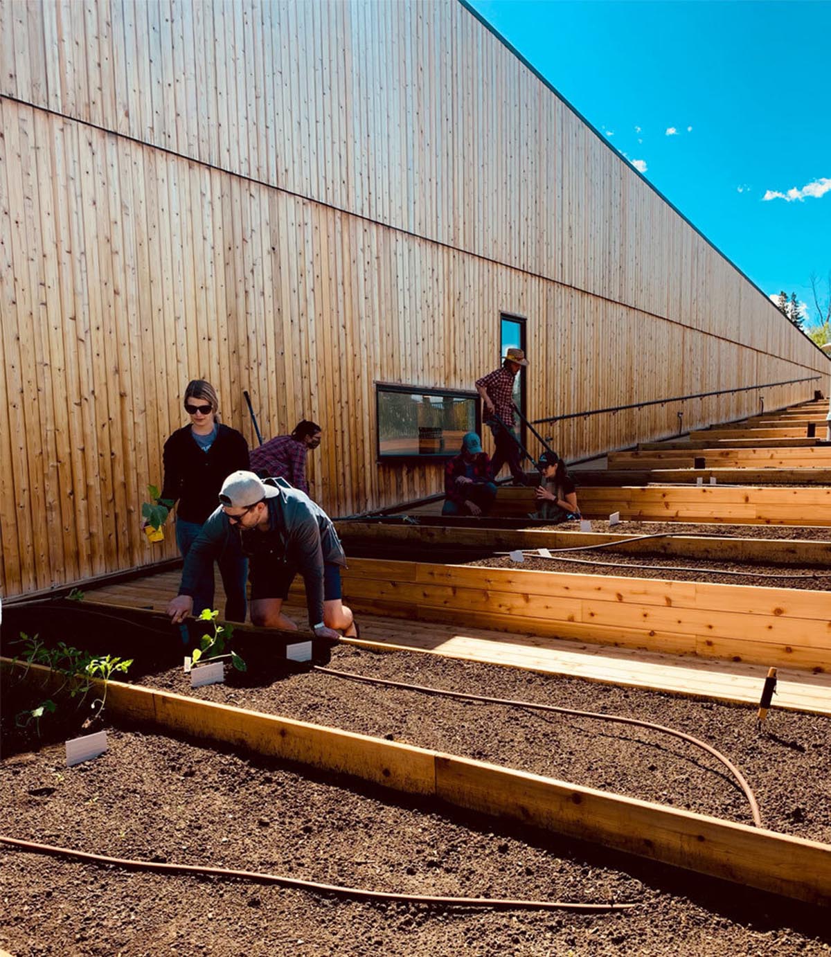 Multi-residential housing by MODA features a barrier-free rooftop urban farm in Calgary