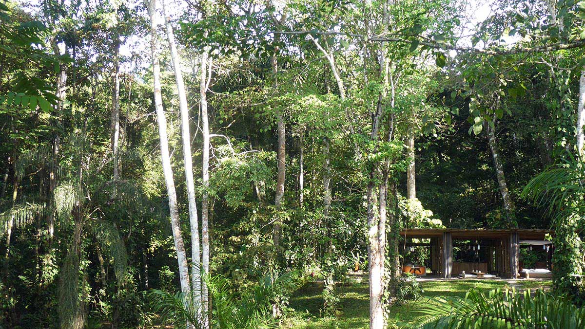 Open Jungle House by Ksymena Borczynska is wrapped by curtains and in Costa Rica 
