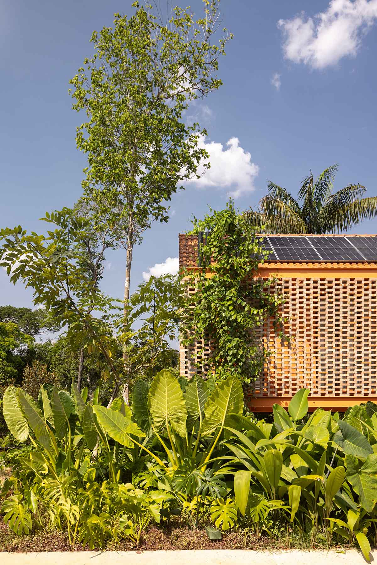 Pupunha House offers skyward oasis amidst a lush landscape in Manaus
