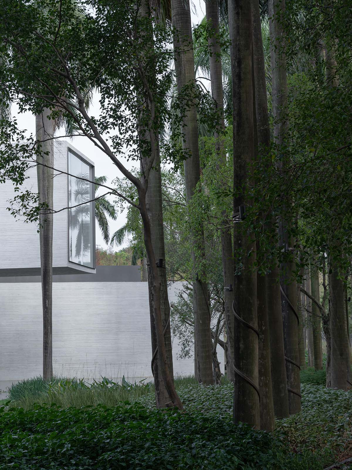 Yunlu Wetland Museum becomes a harmonious sanctuary for egrets and nature in China 