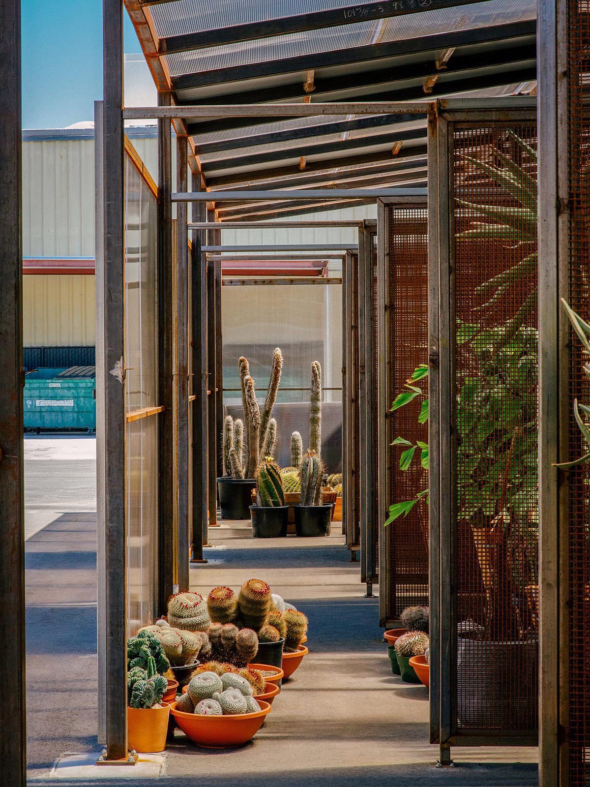 Part Office and cactus store design greenhouse with tinted polycarbonate panels in Santa Monica