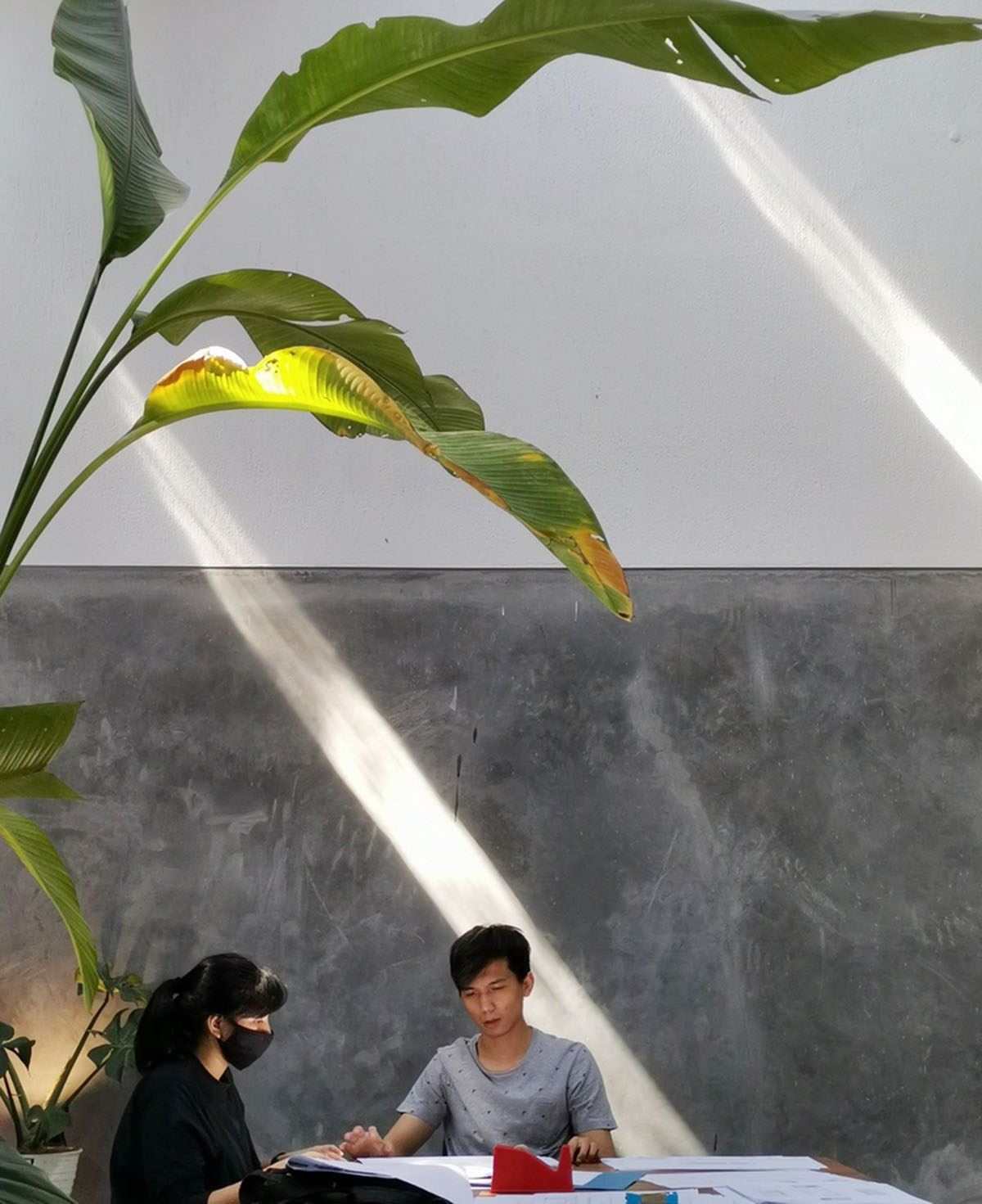 RAD+ar redesigns old vernacular building with tropical architecture as its main office in Jakarta